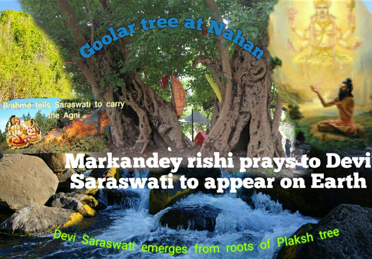 WISE TREE - Song of Saraswati